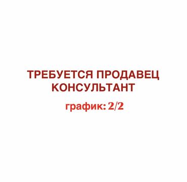 модем продавец: Сатуучу консультант. Весна СБ