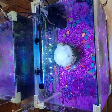 100 l akvarium: Tam komplekt akvarium dəsti - Şəffaf şüşə akvarium, düzbucaqlı forma — 2
