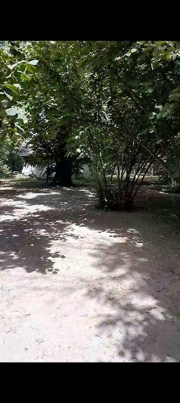 daşınmaz əmlakın satışı: 75 sot, Tikinti, Mülkiyyətçi, Kupça (Çıxarış) — 4