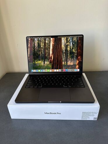 макбук 12: Ноутбук, Apple, 24 ram gb ГБ ОЭТ, Apple M4 Pro, 14 ", Жаңы, Жумуш, окуу үчүн, эс тутум SSD