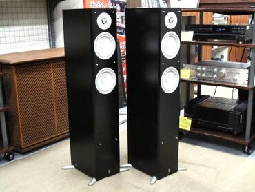 Dinamiklər və kolonkalar: Yeni Pioneer Kolonka, Növ - Sabvufer, rəng - Qara — 6