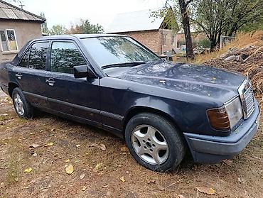 мерседес спринтер макси база дубль кабина: Mercedes-Benz E-Class: 1988 г., 2.3 л, Механика, Бензин, Седан — 2