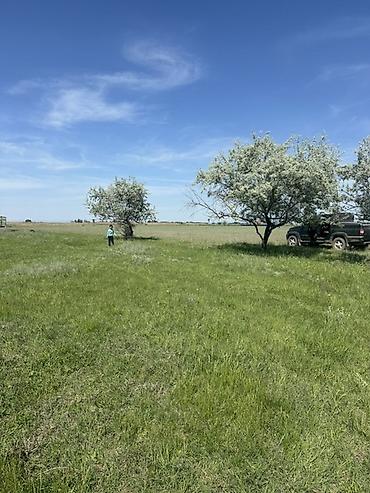 село сарбан участок: 4 соток, Для строительства, Красная книга — 2