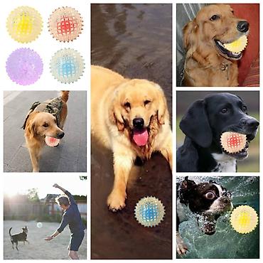 Зоотовары: ПРОДАЮ СУПЕР ПРОЧНЫЙ МЯЧЬ ДЛЯ СОБАК,А ТАК ЖЕ — 1