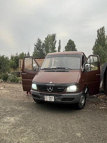 Mercedes-Benz Спринтер: 2004 г., 2.2 л, Механика, Дизель, Минивэн
