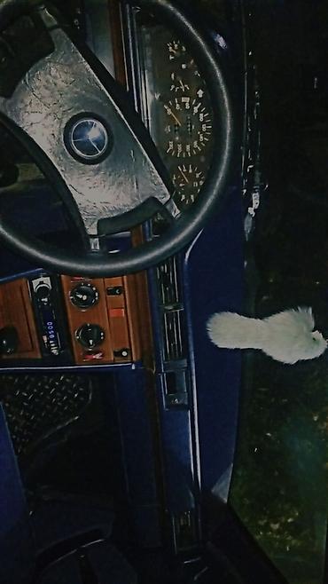 samsung e300: Mercedes-Benz E 300: 3 l | 1992 il Sedan — 3