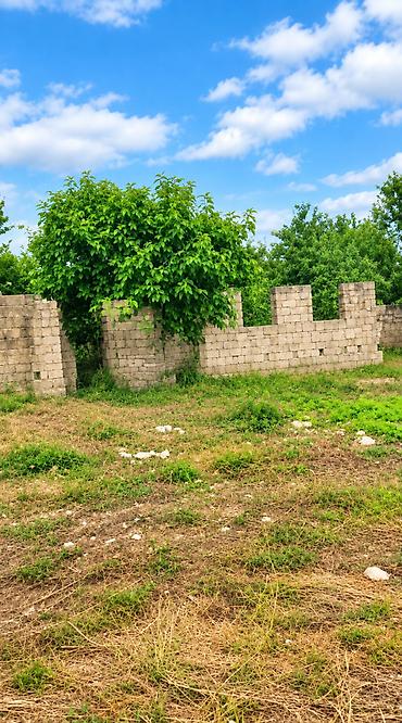 albalılıq torpaq: 9 sot, Tikinti, Mülkiyyətçi, Kupça (Çıxarış) — 3