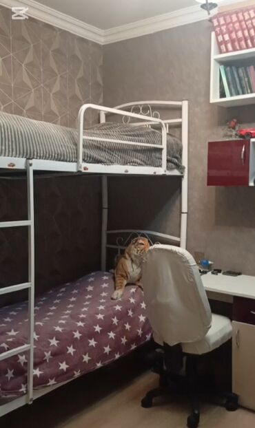 Sifarişlə qonaq dəstləri: Mənzilin interyer dizaynı və hazır dekor konstruksiyaları - Zal və — 14