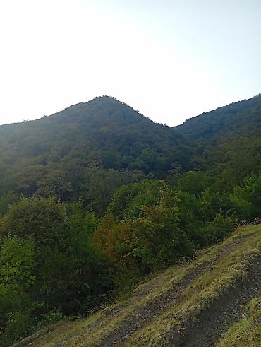 Günlük kirayə evlər: 40 kv. m, 2 otaqlı, Kombi, Qaz, İşıq — 13