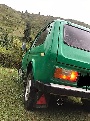 мапет матор: ВАЗ (ЛАДА) 4x4 Нива: 1982 г., 1.6 л, Механика, Бензин, Внедорожник — 3