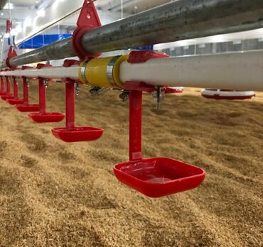 Qidalandırıcılar: Azim Tav Şirkəti sifarişlə quşçuluq fermalarında avto Yem xətləri, Su — 7