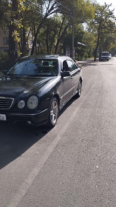 w210 430: Mercedes-Benz E-Class: 2000 г., 4.3 л, Автомат, Бензин, Седан — 4