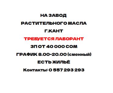 пекарня оборудование: Требуется Лаборант на Маслоэкстракционный завод "Альфа" (производство
