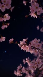 работу официантка: Ищу работу мне 18 лет Описание услуги: - Опыт в швейном деле — 3 года