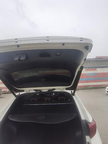 Kia: Kia Sportage: 2019 г., 2 л, Автомат, Дизель, Кроссовер — 10