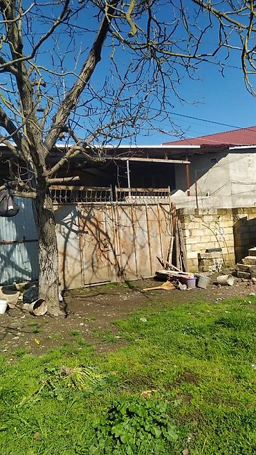 3 otaqlı kiraye evler: 3 otaqlı, 240 kv. m, Kredit yoxdur, Təmirsiz — 1