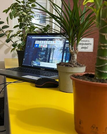 Посуточная аренда комнат: 40 м², С мебелью — 5