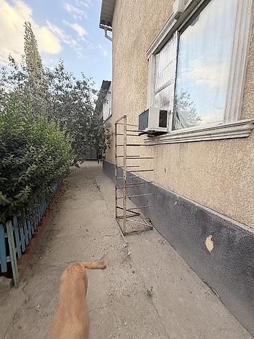 Продажа коттеджей и домов: Продается дом Арча Бешик Ахунбаева Чортекова Большой дом плюс at lalafo.kg — 12 Продажа коттеджей и домов: Продается дом Арча Бешик Ахунбаева Чортекова Большой дом плюс — 12