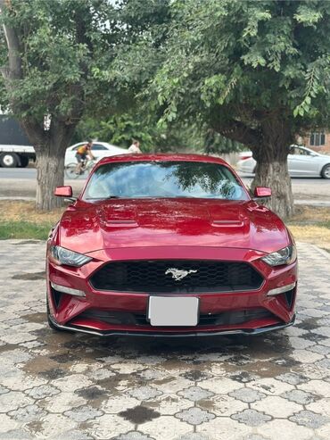 ручки бмв е39: Ford Mustang: 2017 г., 2.3 л, Автоматтык, Бензин, Купе