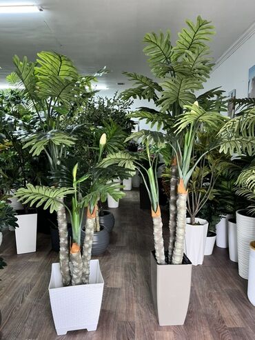 Декоративные цветы: Искусственные деревья — это идеальное решение для оформления интерьера at lalafo.kg — 14 Декоративные цветы: Искусственные деревья — это идеальное решение для оформления интерьера — 14