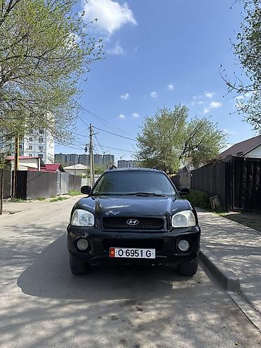 Hyundai: Hyundai Santa Fe: 2002 г., 2.4 л, Ручные, Бензин, Кроссовер — 2
