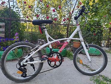 r bit: Городской велосипед, Рама S (145 - 165 см), Новый — 1