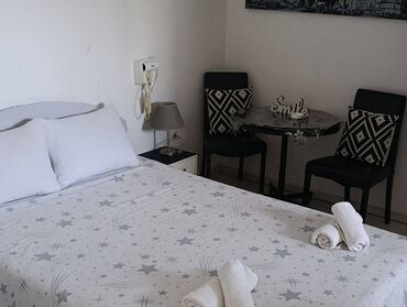 Stan na dan: 1 soba — 12