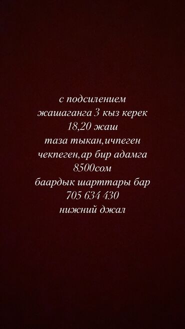 домик из контейнер: 1 бөлмө, Менчик ээси, Чогуу жашоо менен