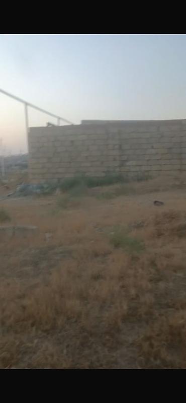 kupcali torpaqlar satisi: 16 sot, Kənd təsərrüfatı, Mülkiyyətçi, Kupça (Çıxarış) — 4