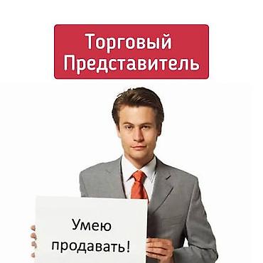 работа в гостинице: Торговый агент, Без опыта, Без транспорта, Мужчина — 1