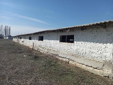 ысык куле: Кой короо, 6000 соток, Иштебеген, Жарым-жартылай жабдуулары менен, Скважина — 6