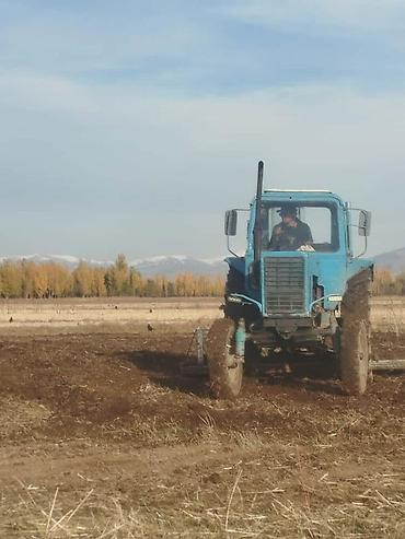 Тракторы МТЗ (Беларус): Модель: 80, Б/у, Трактор с другими агрегатами — 5