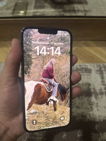 бу айфон 13 цена: IPhone 13 Pro, Графит, Заряддоочу түзүлүш, Коргоочу айнек, Каптама