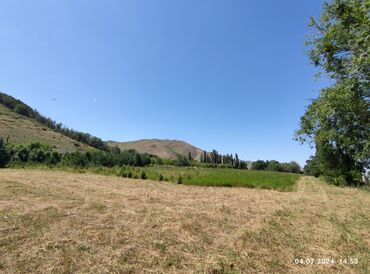 Продажа участков: 255 соток, Для сельского хозяйства — 4