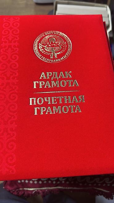 Подарочная упаковка: Папка бархатная. Почетная грамота бархатная в наличии оптом и в — 5