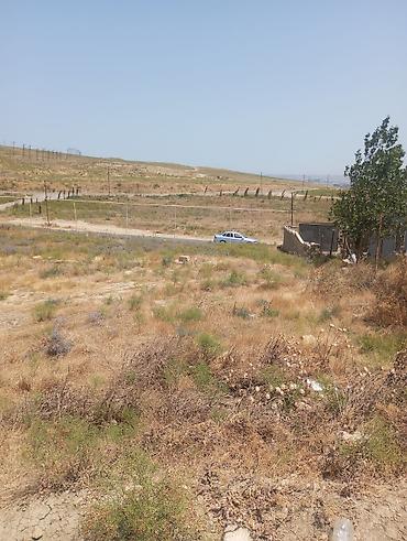 bine atciliqda: 3 sot, Biznes üçün, Maklerlər narahat etməsin, Bələdiyyə, Müqavilə — 2