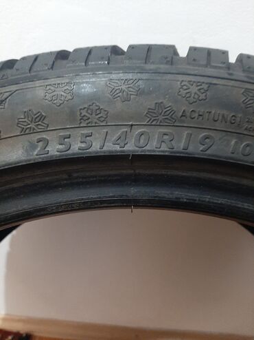 шини: Шины R 19, Всесезонная, Б/у, 1 шт, Легковые, Dunlop