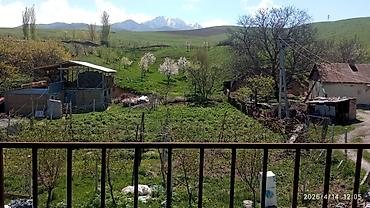 Долгосрочная аренда домов: 220 м², 6 комнат — 7