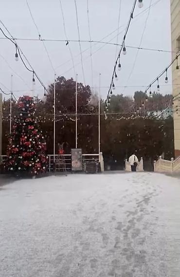 Посуточная аренда квартир: Студия, Банные принадлежности, Бытовая техника, Душевая кабина — 5