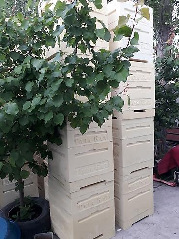 Другие с/х животные: Ульи для пчёл Преимущества ППУ ульев Пенополиуретан (ППУ) -Это — 6