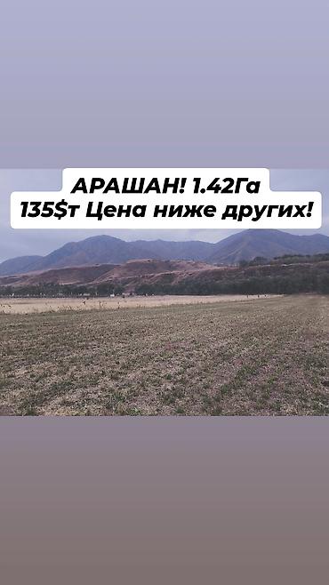 142 соток, Для бизнеса, Тех паспорт, Генеральная доверенность at lalafo.kg 142 соток, Для бизнеса, Тех паспорт, Генеральная доверенность