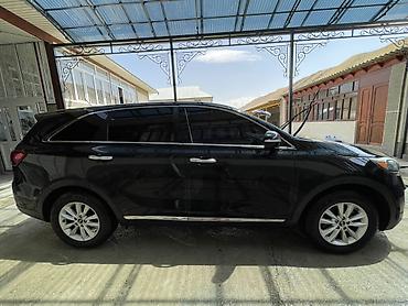 антикор авто: Kia Sorento: 2019 г., 2.4 л, Автомат, Бензин, Кроссовер — 4