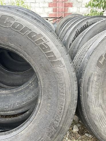 Шины: Шины для грузовых - Размер: 385/65 R22.5, - 445/45 R19.5 Подходят — 3