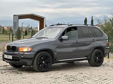 devo matiz: BMW X5: 2003 г., 4.4 л, Автомат, Бензин, Кроссовер — 5