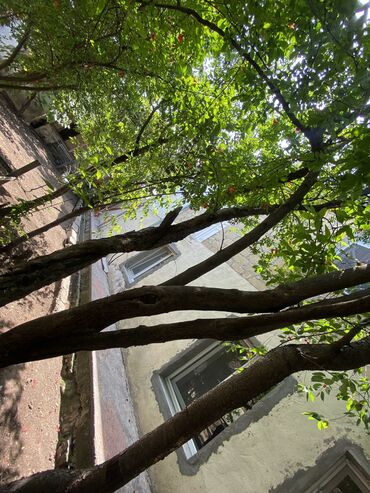 Köhnə tikili: Gəncə, 6 otaqlı, Köhnə tikili, 3 kv. m — 13