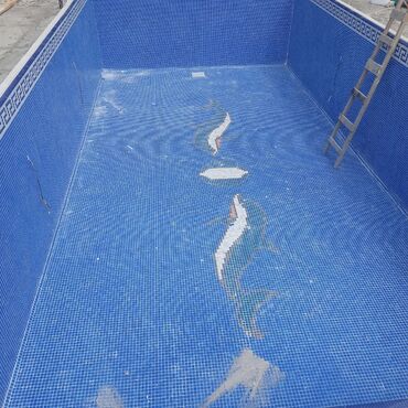 Hovuzlar: Hovuz fantan mazayka isderinin gorulmesi 0 Dan yuksek seviyeme -da lalafo.az — 16 Hovuzlar: Hovuz fantan mazayka isderinin gorulmesi 0 Dan yuksek seviyeme — 16