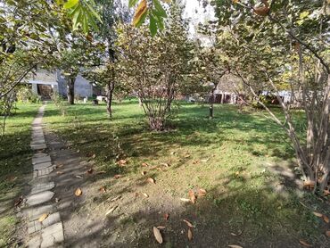 Torpaq sahələrinin satışı: 32 sot, Kənd təsərrüfatı, Mülkiyyətçi, Kupça (Çıxarış) -da lalafo.az — 4 Torpaq sahələrinin satışı: 32 sot, Kənd təsərrüfatı, Mülkiyyətçi, Kupça (Çıxarış) — 4