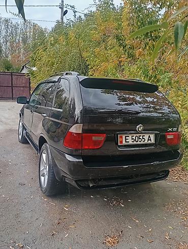 led лампа на авто: BMW X5: 2002 г., Автомат, Кроссовер — 3