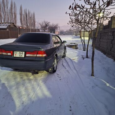 акорд англичан: Honda Accord: 2000 г., 1.8 л, Автомат, Бензин, Седан