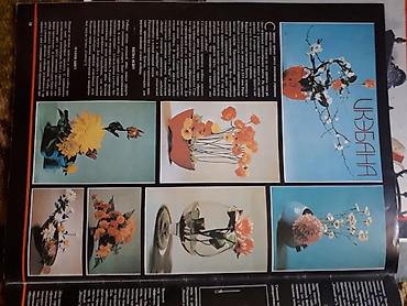 Журналы: Журналы "Наш дом" - Пособие по проектированию интерьеров. БОЛГАРИЯ — 5